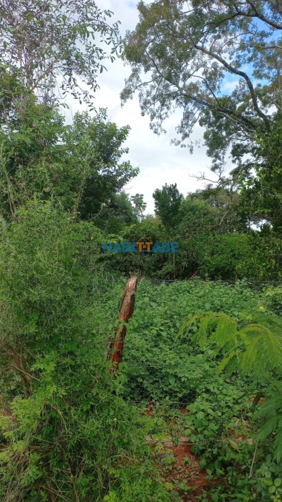 terreno-venda-comunidade-boa-vista-de-baixo-ref-157-820639