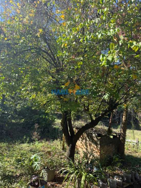 sitio-venda-sitio-a-1-5-km-do-centro-de-arcos-1058789