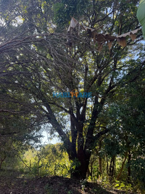 sitio-venda-sitio-a-1-5-km-do-centro-de-arcos-1058793