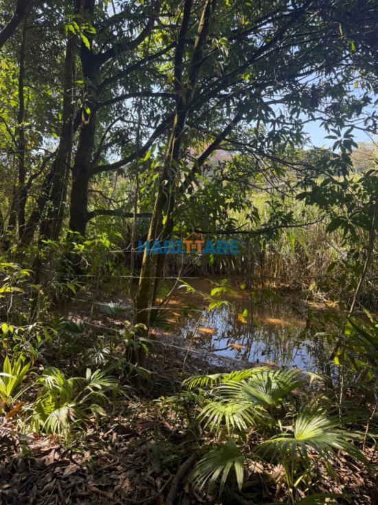 sitio-venda-sitio-a-1-5-km-do-centro-de-arcos-1058795