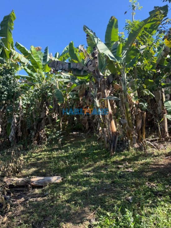 sitio-venda-sitio-a-1-5-km-do-centro-de-arcos-1058796
