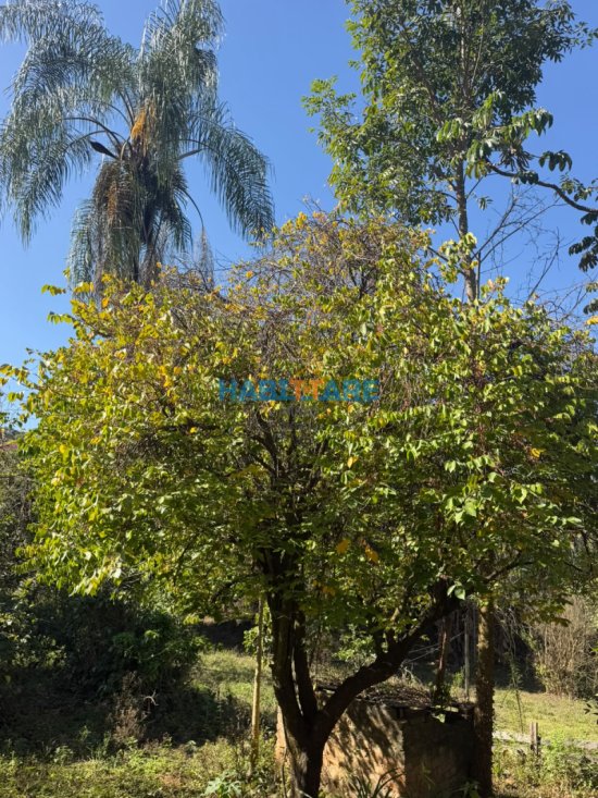 sitio-venda-sitio-a-1-5-km-do-centro-de-arcos-1058797