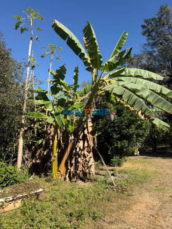 sitio-venda-sitio-a-1-5-km-do-centro-de-arcos-1058799