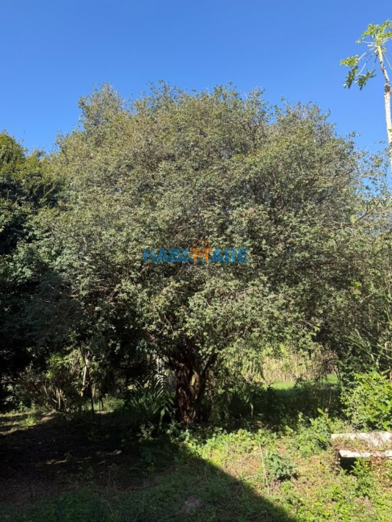 sitio-venda-sitio-a-1-5-km-do-centro-de-arcos-1058800