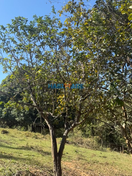 sitio-venda-sitio-a-1-5-km-do-centro-de-arcos-1058813