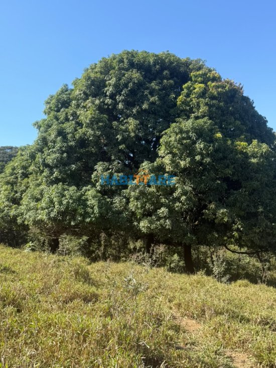 sitio-venda-sitio-a-1-5-km-do-centro-de-arcos-1058814