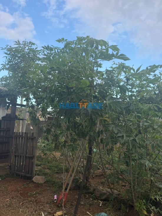 casa-venda-juca-dias-ref-142-1048746