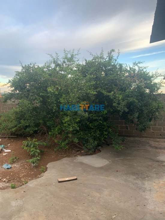 casa-aluguel-bairro-esplanada-1005507