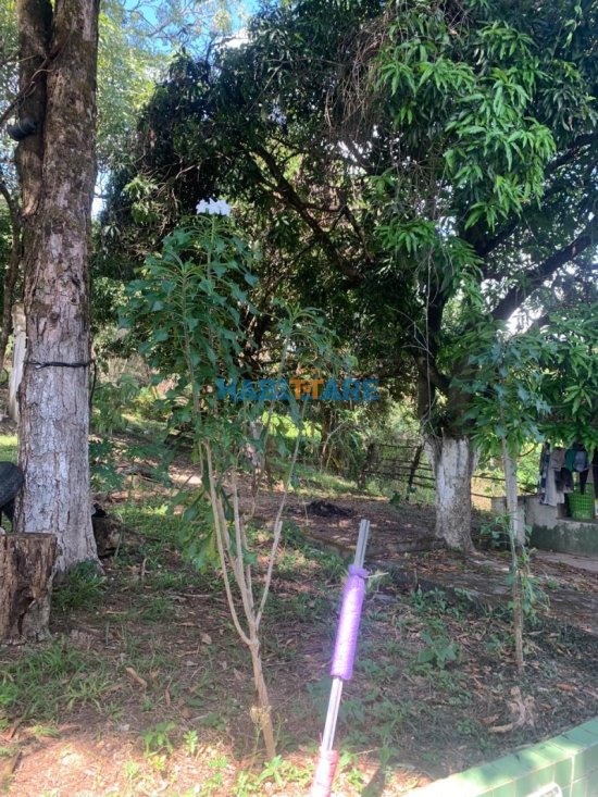 terreno-venda-margeando-a-br-proximo-ao-posto-barreiro-ref-196-1014206