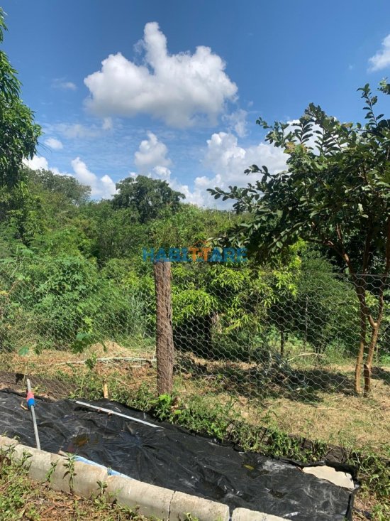 terreno-venda-margeando-a-br-proximo-ao-posto-barreiro-ref-196-1014208