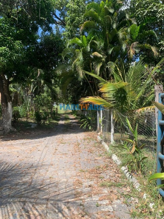 terreno-venda-margeando-a-br-proximo-ao-posto-barreiro-ref-196-1014210