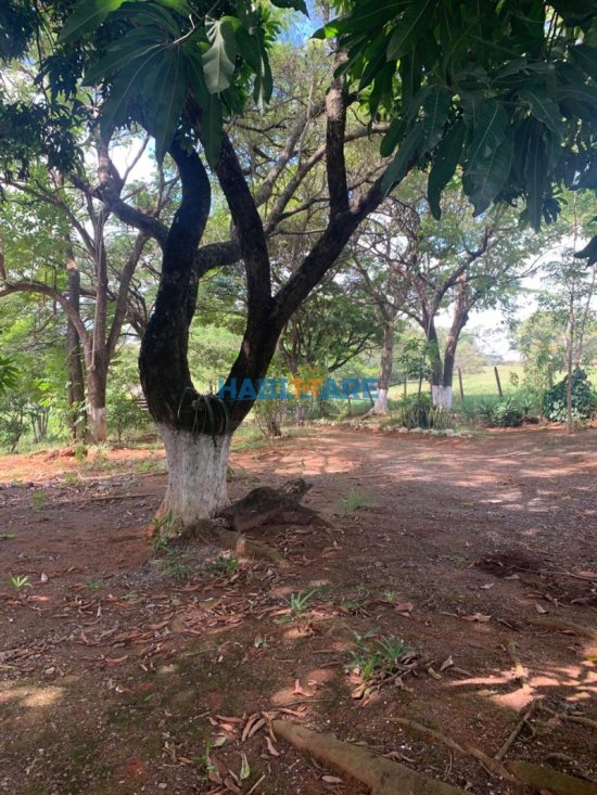 terreno-venda-margeando-a-br-proximo-ao-posto-barreiro-ref-196-1014211