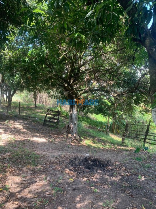 terreno-venda-margeando-a-br-proximo-ao-posto-barreiro-ref-196-1014212