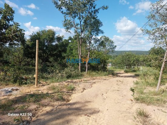 terreno-venda-sao-domingos-dos-teixeiras-ref-317-1060849