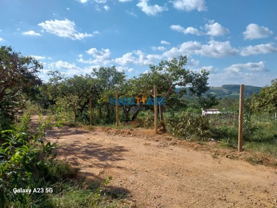 terreno-venda-sao-domingos-dos-teixeiras-ref-317-1060850