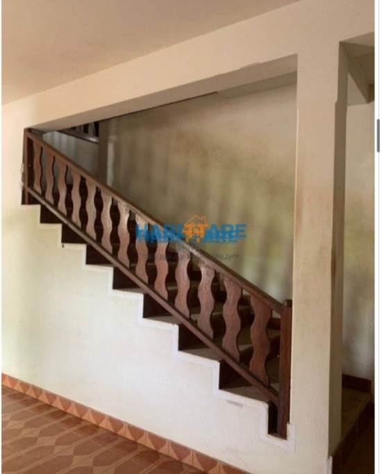 casa-aluguel-bairro-floresta-901776
