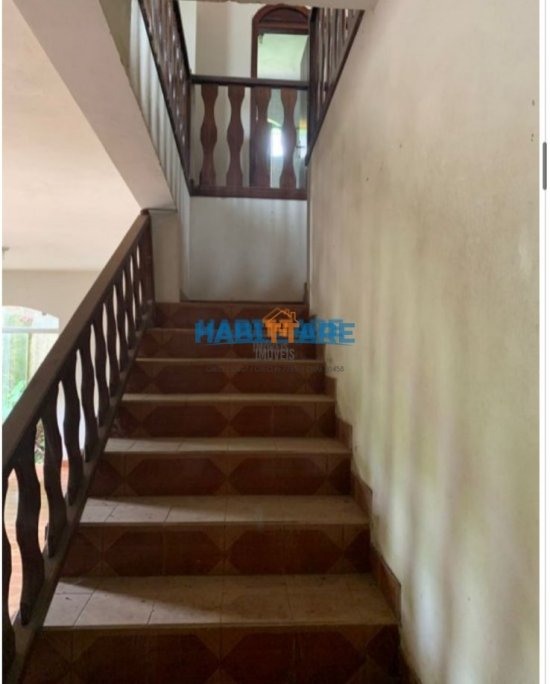 casa-aluguel-bairro-floresta-901769