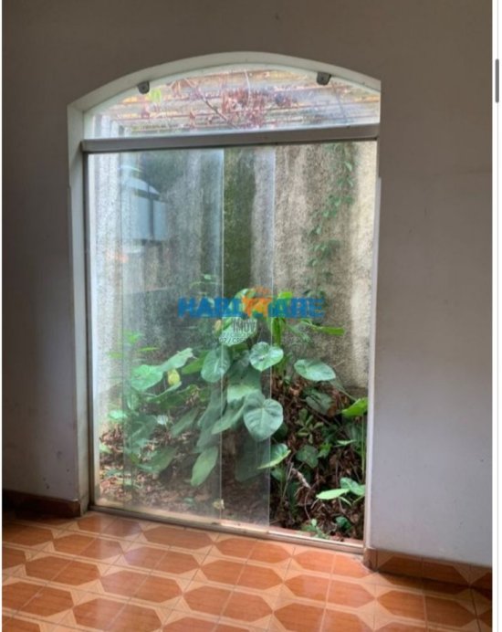 casa-aluguel-bairro-floresta-901771