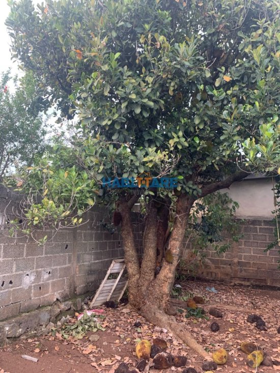 casa-venda-bairro-esplanada-ref-183-984857