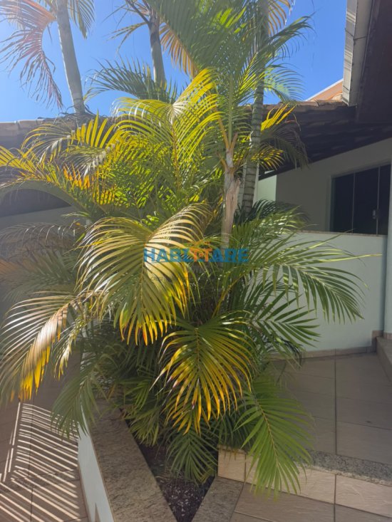 casa-aluguel-bairro-sao-pedro-1061577