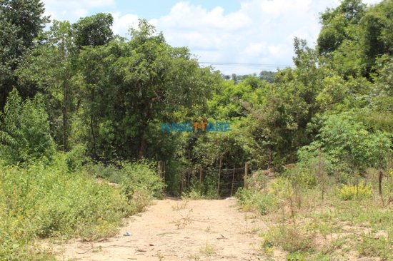 chacara-venda-vende-se-chacara-aproximadamente-um-km-de-arcos-ref-212-971803