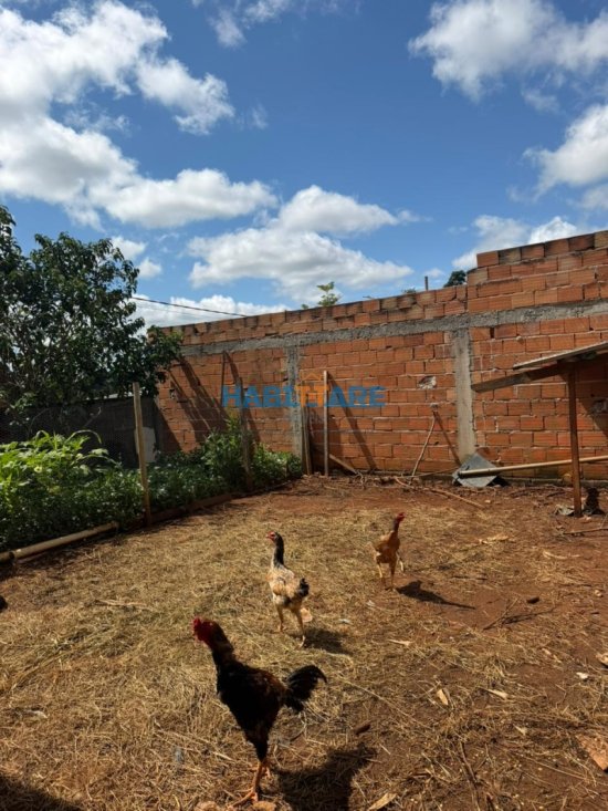 casa-venda-parque-floresta-ref-139-1047277