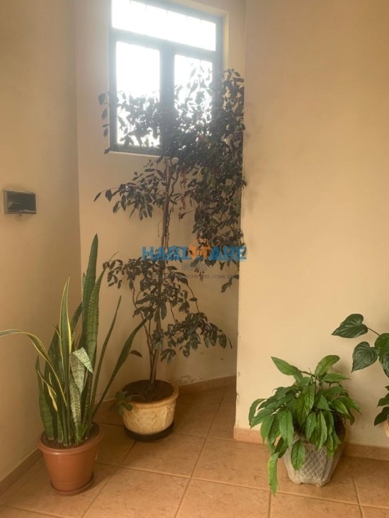 apartamento-venda-bairro-cidade-nova-ref-193-1000499