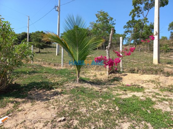 sitio-venda-comunidade-sao-domingos-do-meio-ref-199-866994