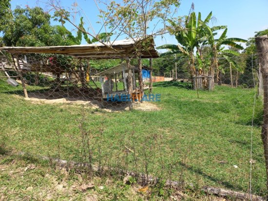 sitio-venda-comunidade-sao-domingos-do-meio-ref-199-867004