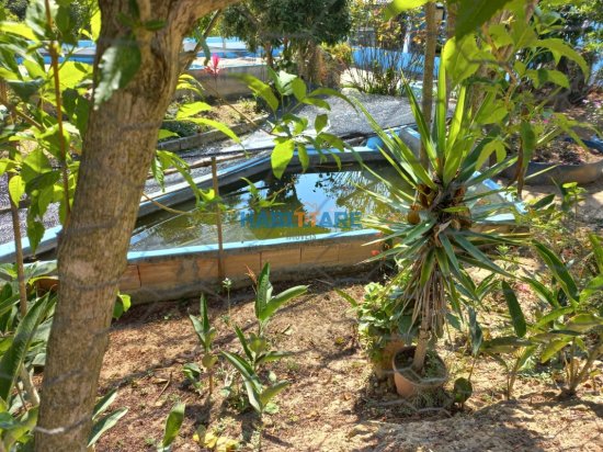 sitio-venda-comunidade-sao-domingos-do-meio-ref-199-867000