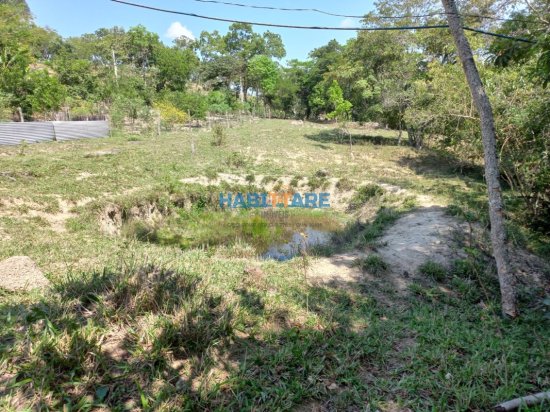 sitio-venda-comunidade-sao-domingos-do-meio-ref-199-867002