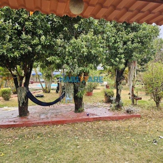 sitio-venda-vargem-dos-britos-ref-306-1058063