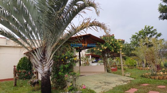 sitio-venda-vargem-dos-britos-ref-306-1058075