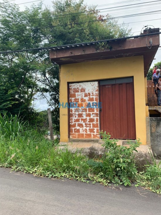 sala-aluguel-bairro-floresta-830739