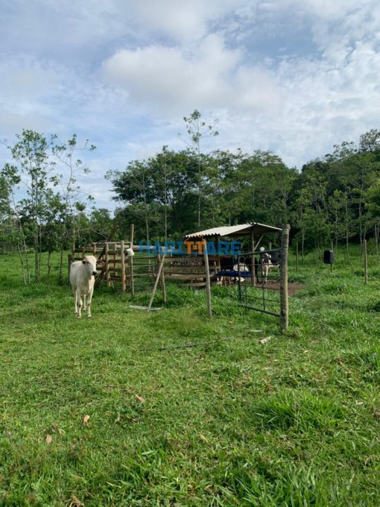 sitio-venda-comunidade-de-barreiro-ref-191-819130
