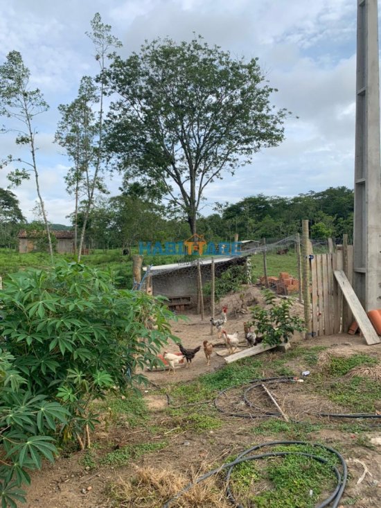 sitio-venda-comunidade-de-barreiro-ref-191-819134