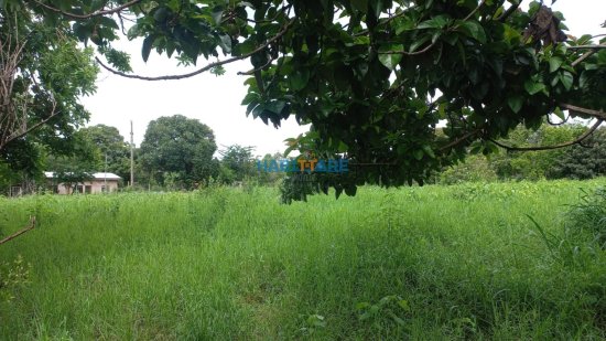 terreno-venda-comunidade-boa-vista-de-baixo-ref-158-1039154